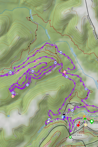frozen_nuts_10K_400x600_map