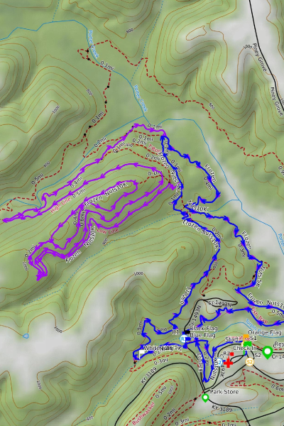 frozen_nuts_15K_400x600_map
